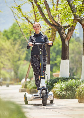 CE Alu Alloy 8h Charging 3 Wheel Stand Up Scooter