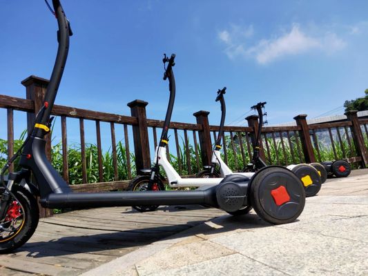 CE Alu Alloy 25km/h Waterproof Electric Scooter