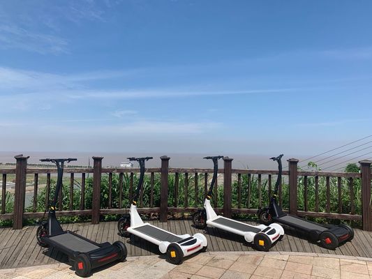 CE Alu Alloy 25km/h Waterproof Electric Scooter