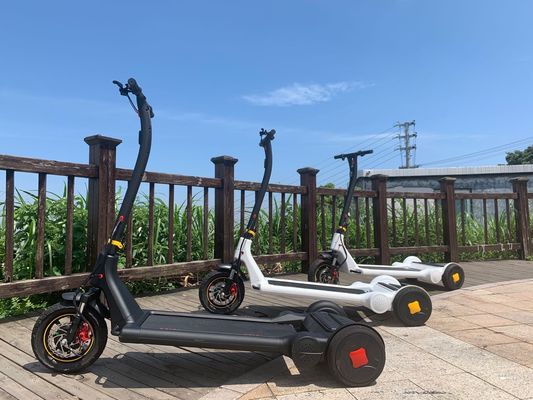 CE Alu Alloy 25km/h Waterproof Electric Scooter