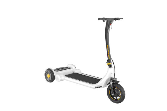 Throttle Handle 36V 25km/H Battery Charging Scooter