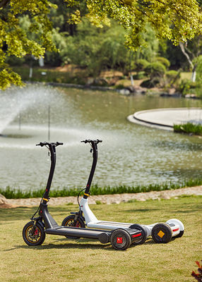 Portable 30KG 2h Charging 3 Wheel Stand Up Scooter