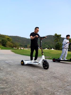 Precursor Airuide Brushless Hub Motor Electric E Scooter 30KG Lightweight