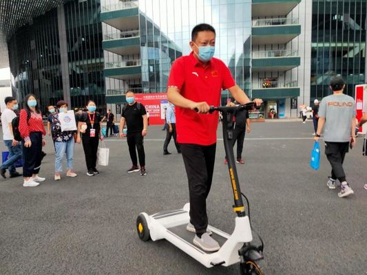 Precursor Airuide Brushless Hub Motor Electric E Scooter 30KG Lightweight