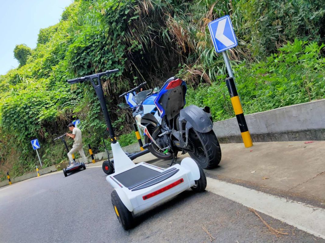 Self Balancing 250W Electric E Scooter For Adult