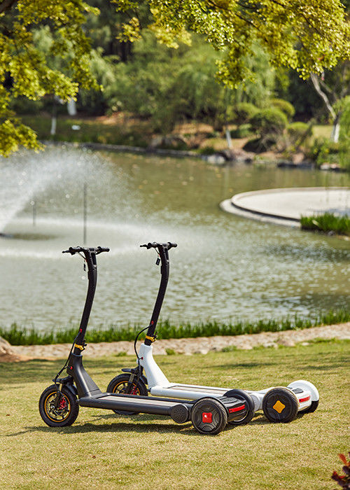 Portable 30KG 2h Charging 3 Wheel Stand Up Scooter