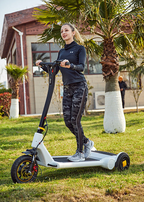 CE Electric Stand Up Scooter