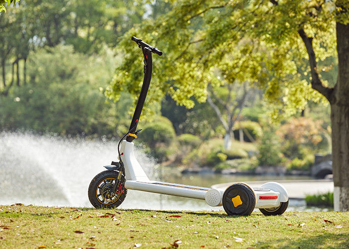 Outside W630mm 25km/H Electric Stand Up Scooter